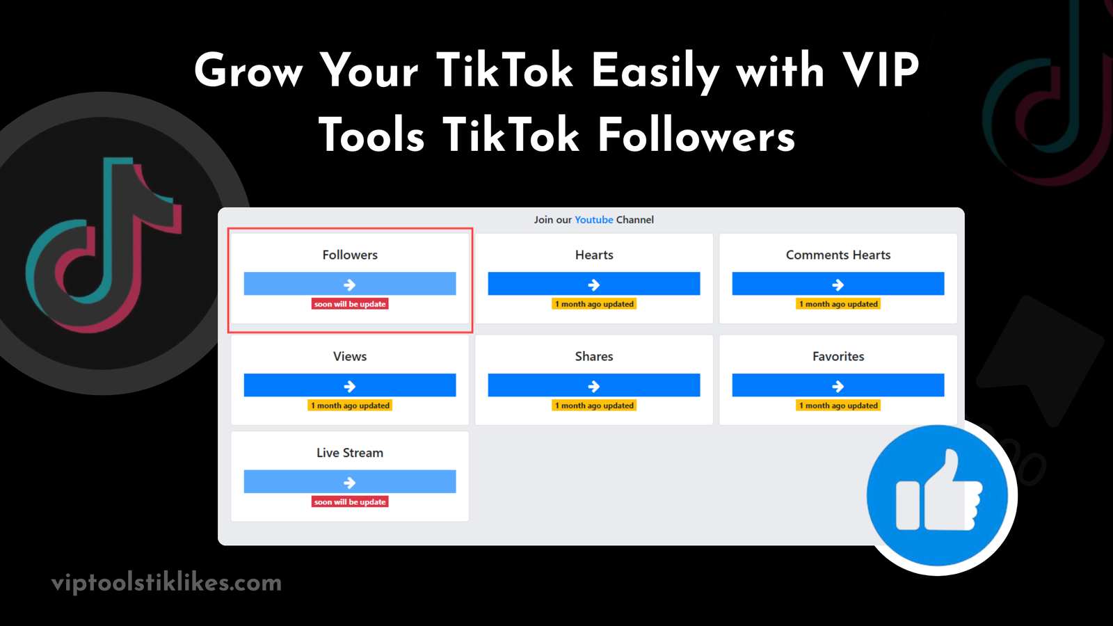 VIP Tools TikTok Followers