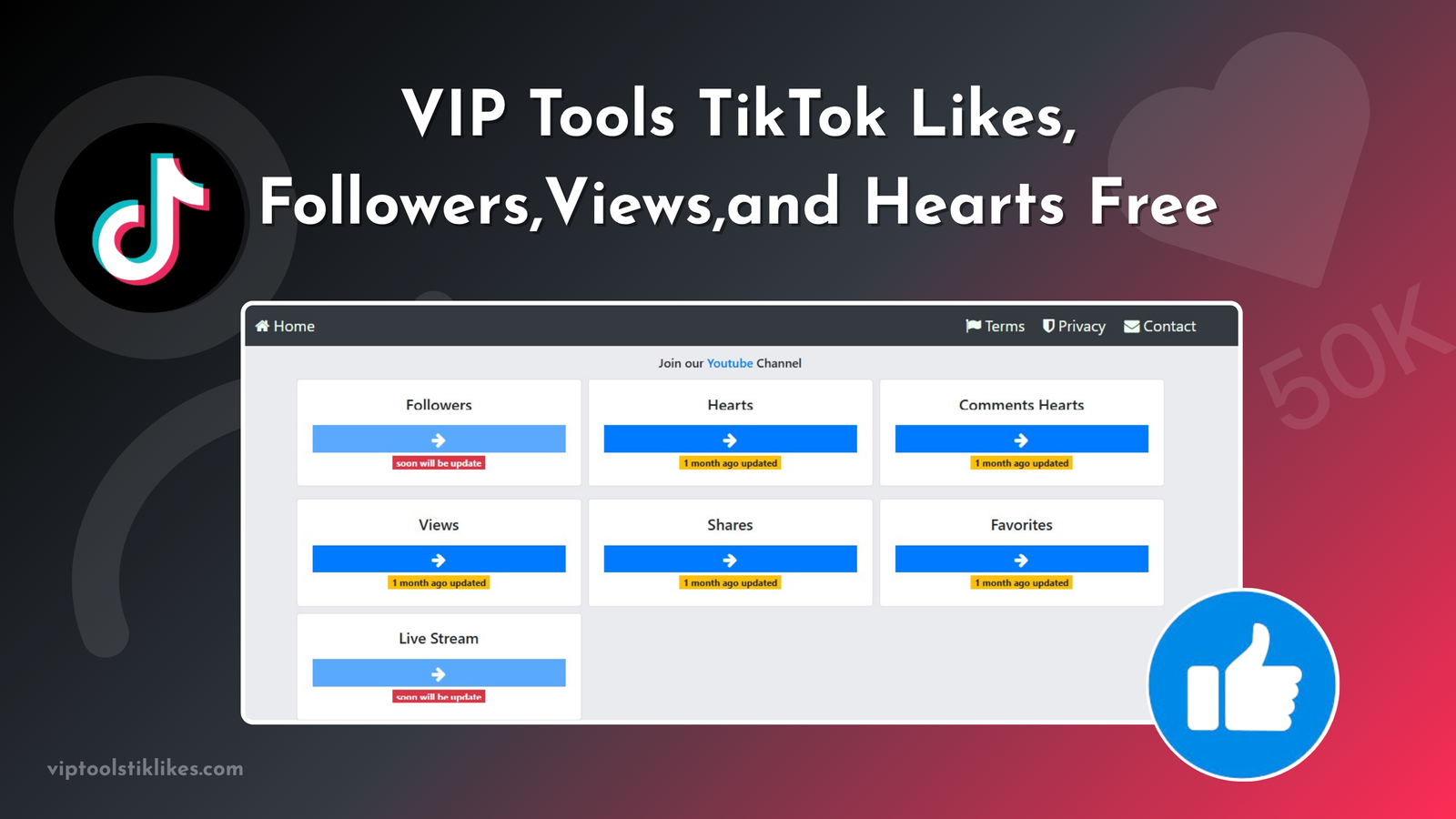 VIP Tools TikTok Likes