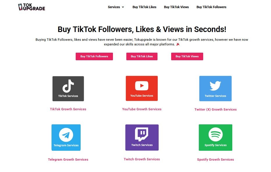Buy TikTok Followers